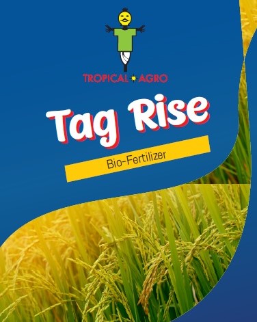 Tag Rise Device mark 5202379 Trademark