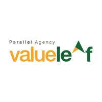 Valueleaf Device mark 5228036 Trademark