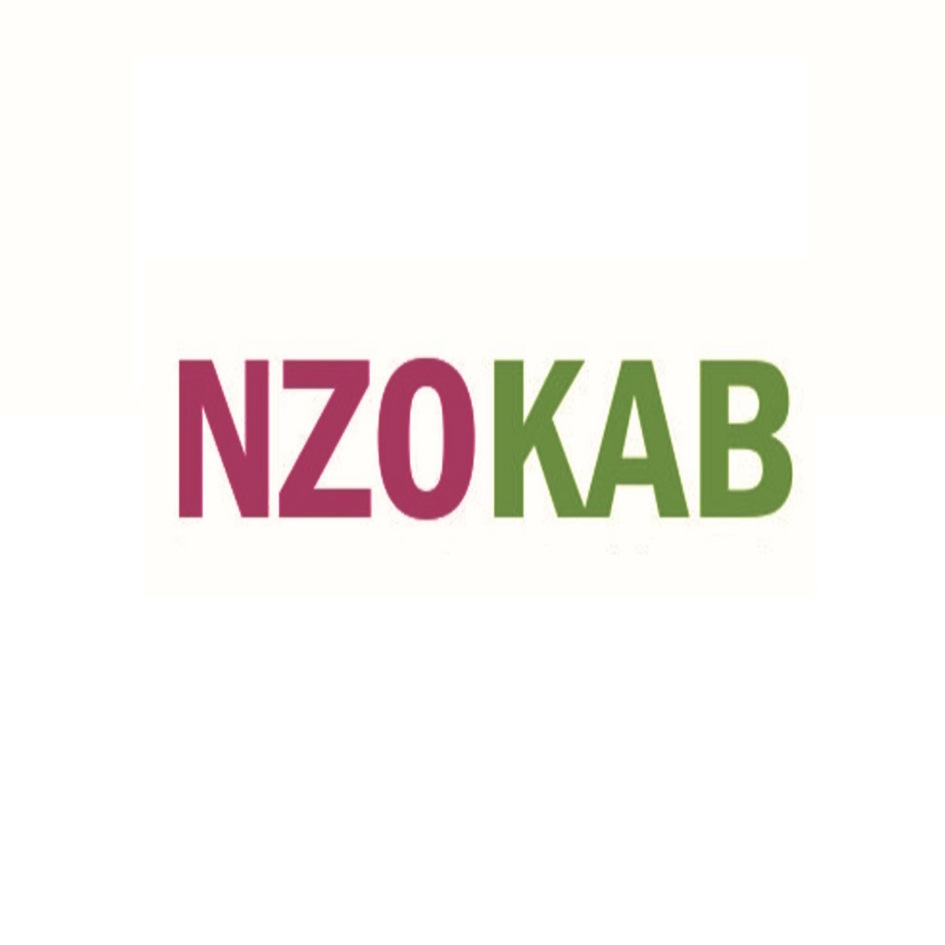 Nzokab Device mark 5230740 Trademark