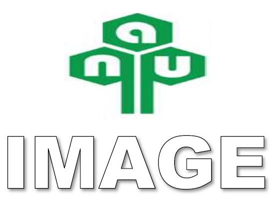 Anu Image Device mark 5264740 Trademark