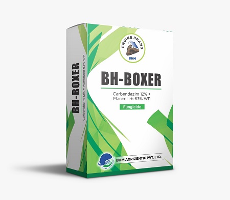 Bh-boxer Device mark 5269960 Trademark