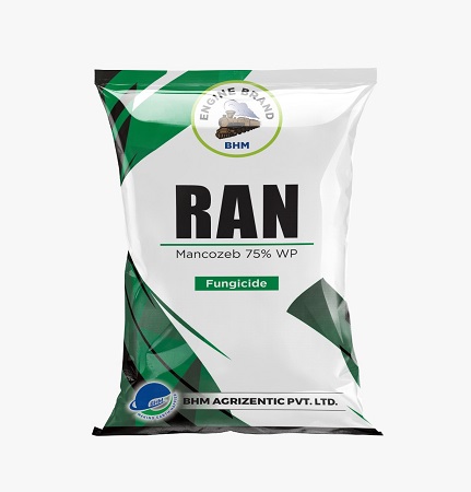 Ran Device mark 5271167 Trademark