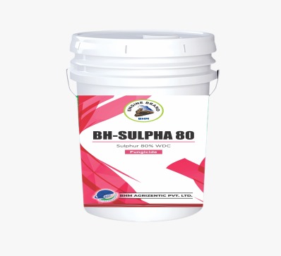 Bh- Sulpha 80 Device mark 5272099 Trademark