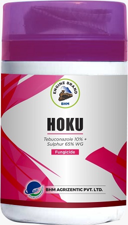 Hoku Device mark 5272100 Trademark