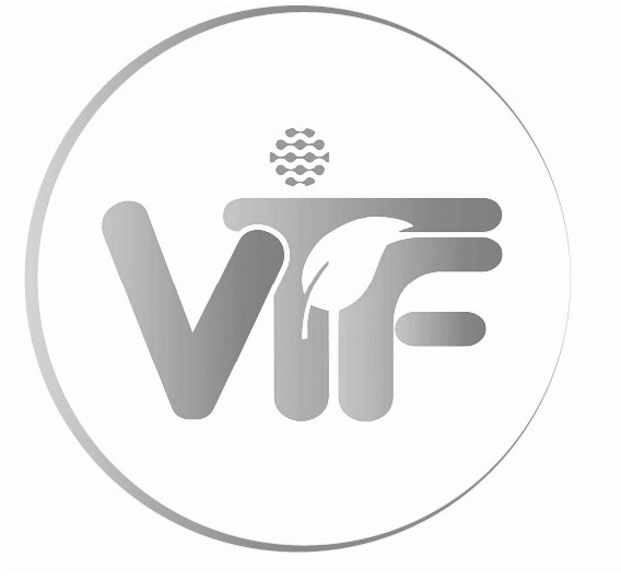 Vtf In Style Device mark 5272803 Trademark