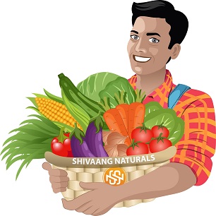 Shivaang Naturals Device mark 5273540 Trademark