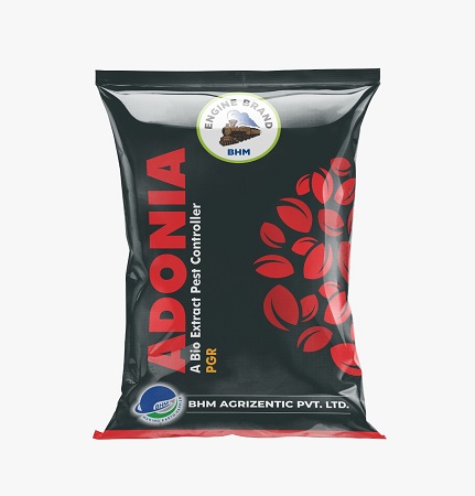 Adonia Device mark 5274794 Trademark