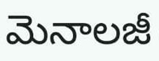 Menology (in Telugu) Device mark 5276663 Trademark