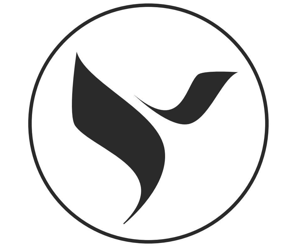 Y (device) Device mark 5290924 Trademark