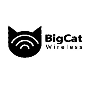 Bigcat Wireless Device mark 5587127 Trademark