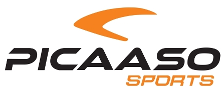 Picaaso Device mark 5596112 Trademark