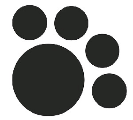 Device Device mark 5621690 Trademark