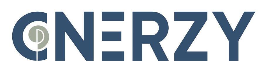 Stylized Representation Of The Mark ‘cnerzy’ Device mark 5622699 Trademark