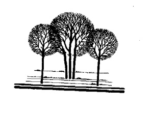 Device Of Trees Device mark 5625095 Trademark
