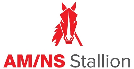 Am Ns Stallion Label Device mark 5603482 Trademark