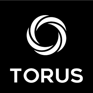 Torus Device mark 5609456 Trademark