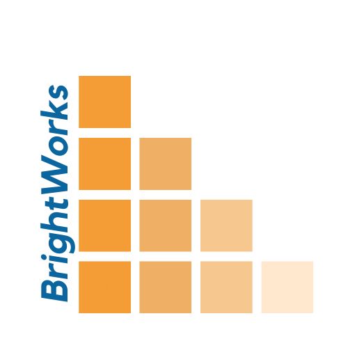 Brightworks Device mark 5612498 Trademark