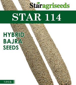 Star 114 Device mark 5635062 Trademark