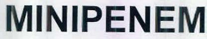 Minipenem Device mark 2715155 Trademark
