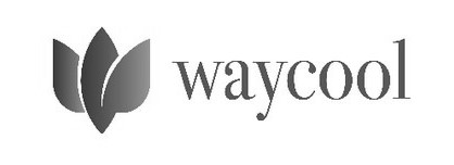 Waycool Device mark 5660051 Trademark