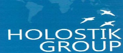 Holostik Group Device mark 5658193 Trademark
