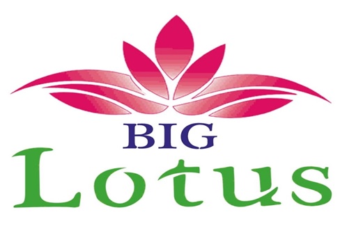Big Lotus Device mark 5669168 Trademark