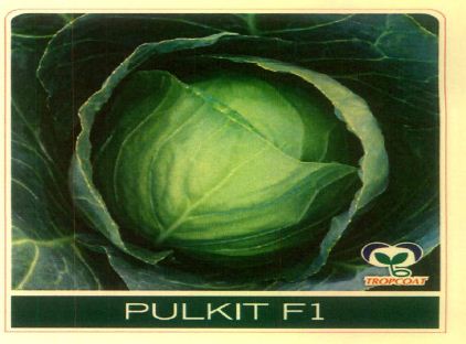 Pulkit F1 (device Of Cabbage) Device mark 5678171 Trademark