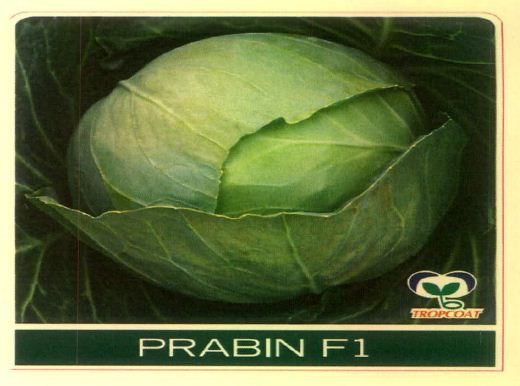 Prabin F1 (device Of Cabbage) Device mark 5678173 Trademark