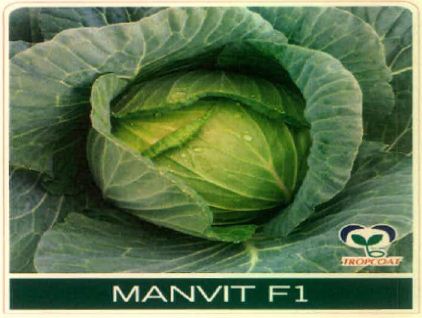 Manvit F1 (device Of Cabbage) Device mark 5678177 Trademark