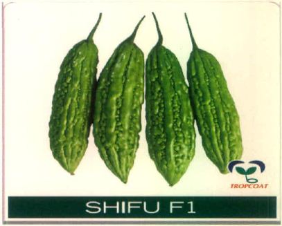 Shifu F1 (device Of Bitter Gourd) Device mark 5678183 Trademark