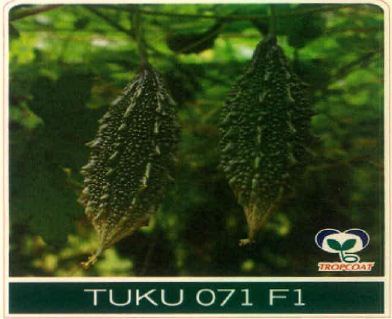 Tuku 071 F1 (device Of Bitter Gourd) Device mark 5678181 Trademark