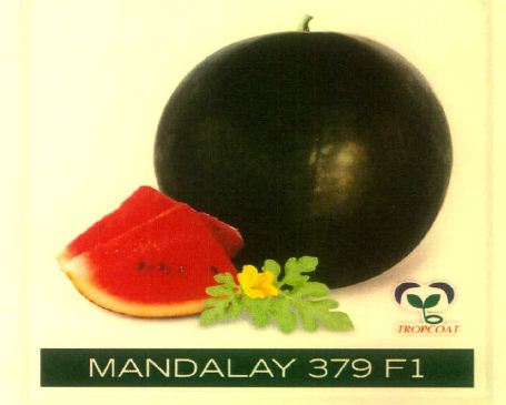 Mandalay 379 F1 (device Of Watermelon) Device mark 5678185 Trademark