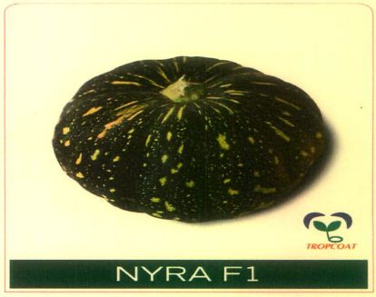 Nyra F1 (device Of Pumpkin) Device mark 5678184 Trademark
