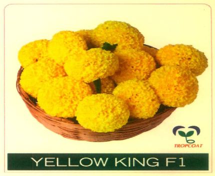 Yellow King F1 (device Of Marigold) Device mark 5678172 Trademark