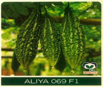 Aliya 069 F1 (device Of Bitter Gourd) Device mark 5678179 Trademark