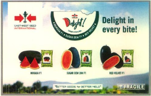 East West International Delight In Device mark 5678182 Trademark