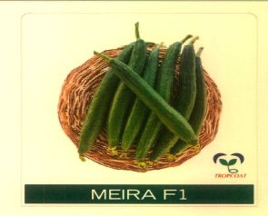 Meira F1 (device Of Sponge Gourd) Device mark 5678187 Trademark