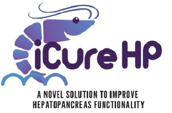 Icurehp Device mark 5685184 Trademark