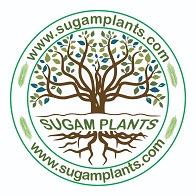 Sugam Plants Device mark 5697550 Trademark