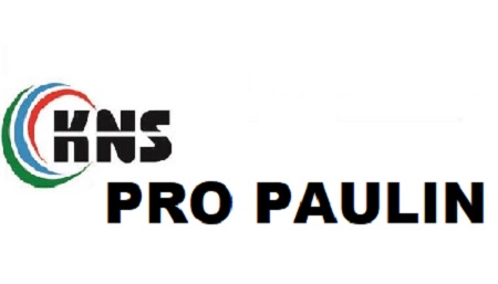 Kns Pro Paulin Device mark 5711879 Trademark