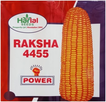Raksha 4455 Power Device mark 5722266 Trademark