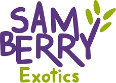 Sam Berry Exotics (logo) Device mark 5722365 Trademark