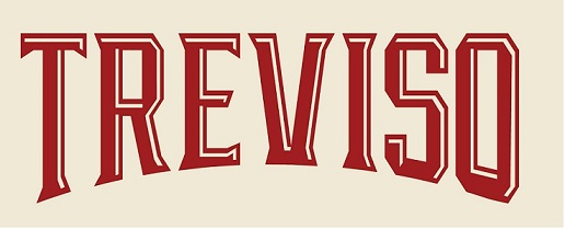 Treviso Device mark 5733285 Trademark
