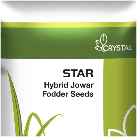 Star Device mark 5747248 Trademark