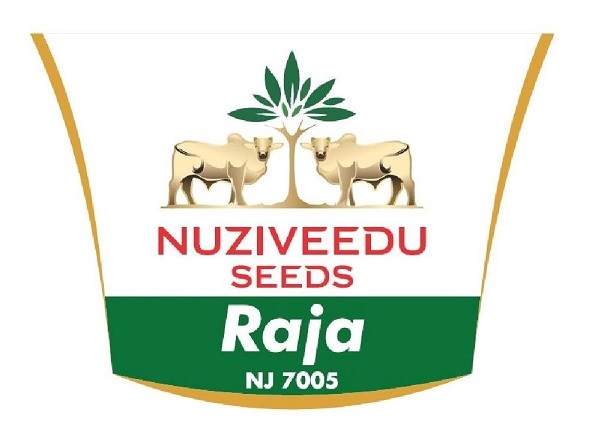 Nuziveedu Seeds Raja Nj 7005 Device mark 5754533 Trademark