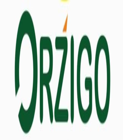 Orzigo Device mark 5755584 Trademark
