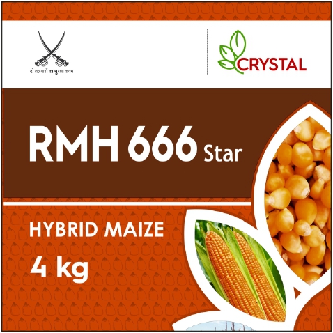 Rmh 666 Star Device mark 5760253 Trademark