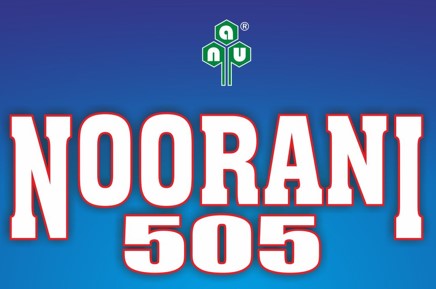 Anu Noorani 505 (device) Device mark 5781628 Trademark