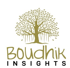 Boudhik Insights Device mark 5789018 Trademark