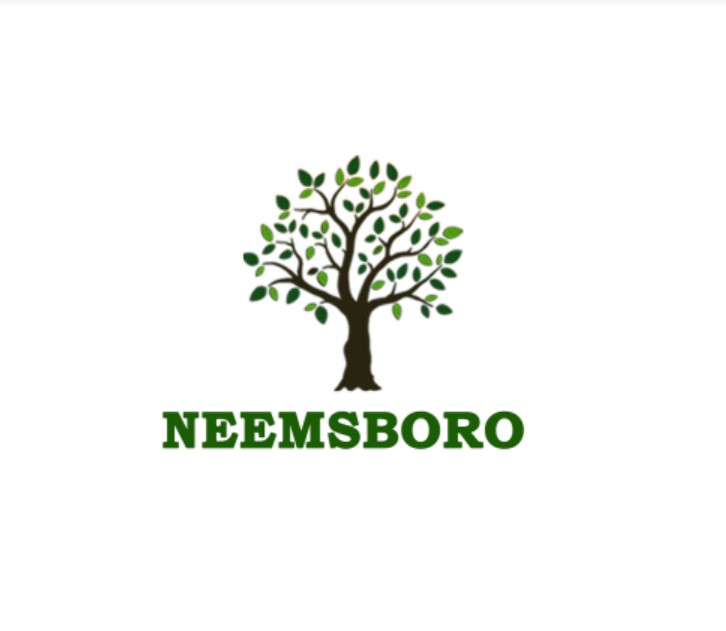 Neemsboro Device mark 5795556 Trademark